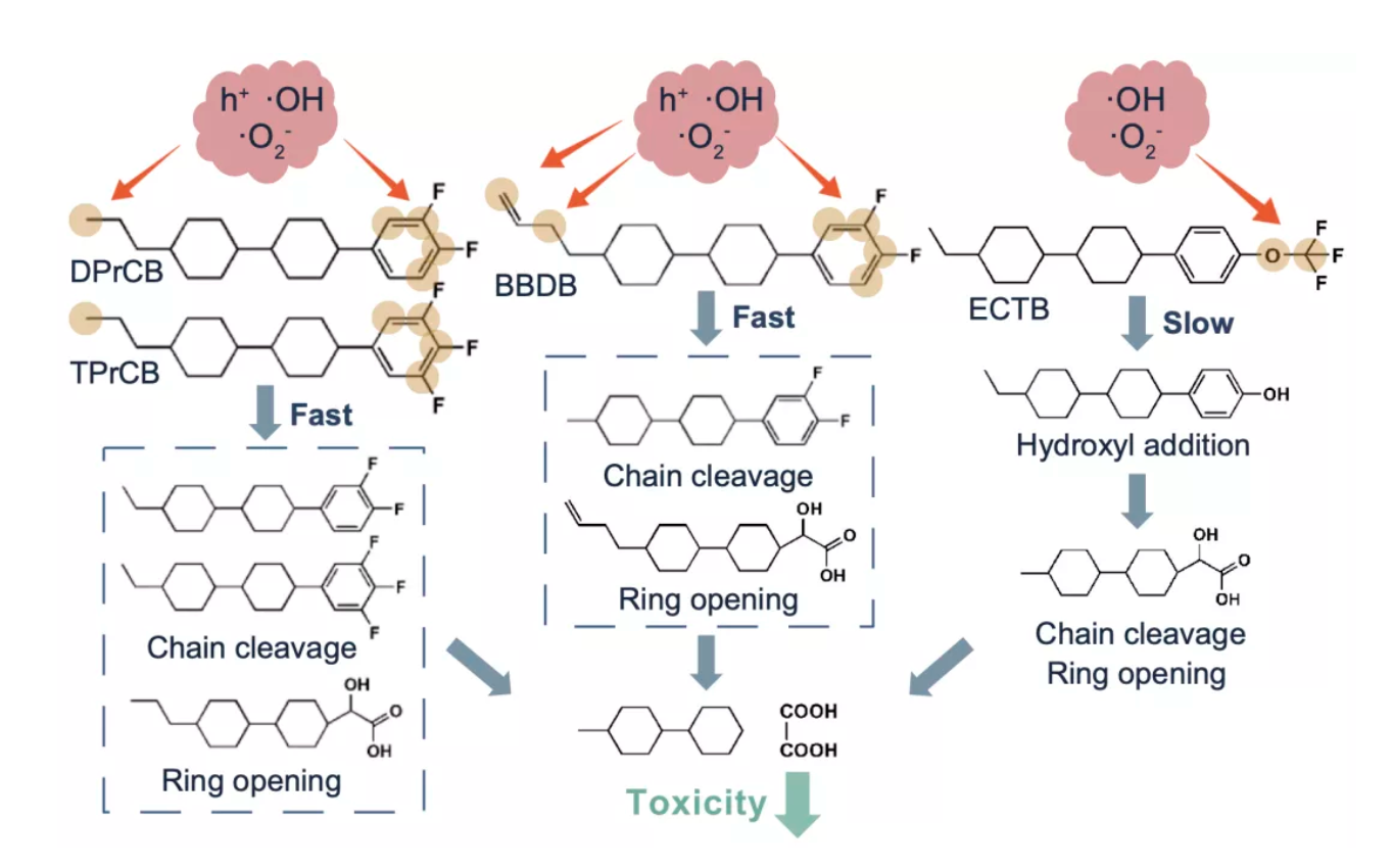 截屏2021-12-30 10.59.36.png